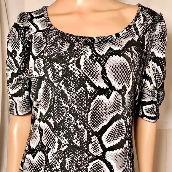 🔥BOGO🔥Worthington Black and White Python Pattern - Picture 2 of 5